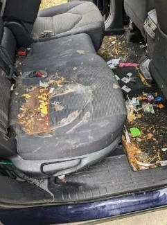 Back seat with crumbs, debris, and stains before interior cleaning